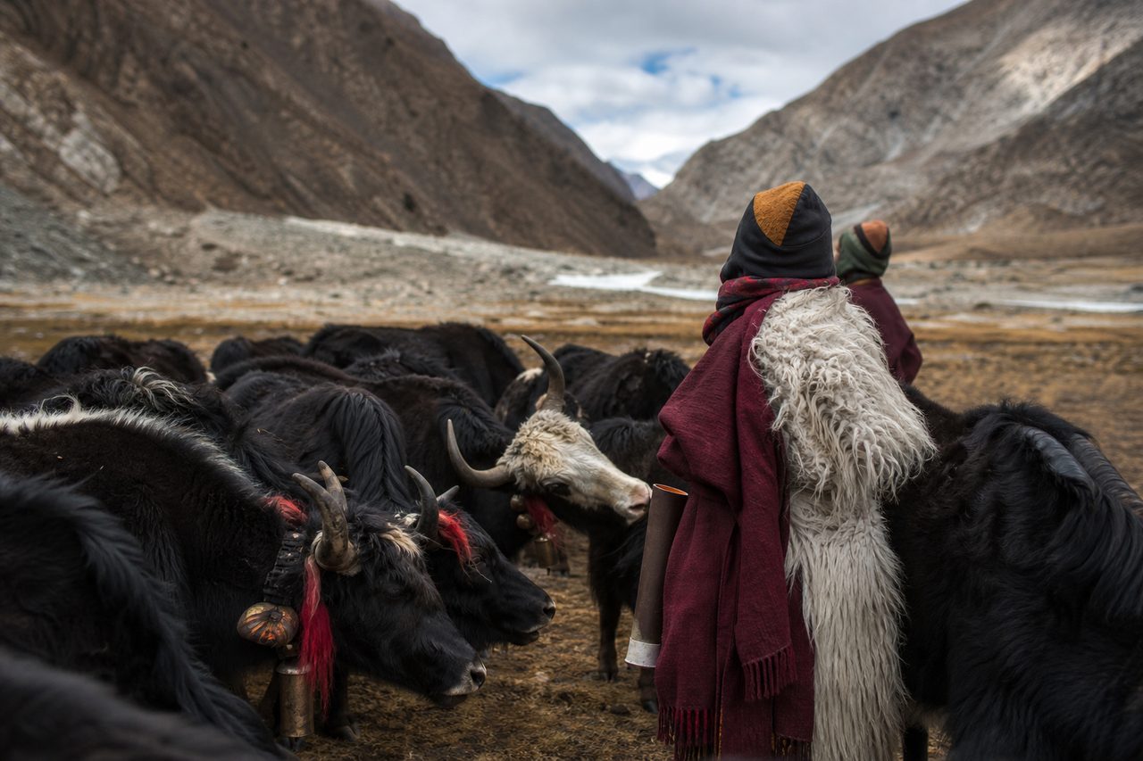 Découverte des chants polyphoniques des éleveurs de yaks du Bhoutan